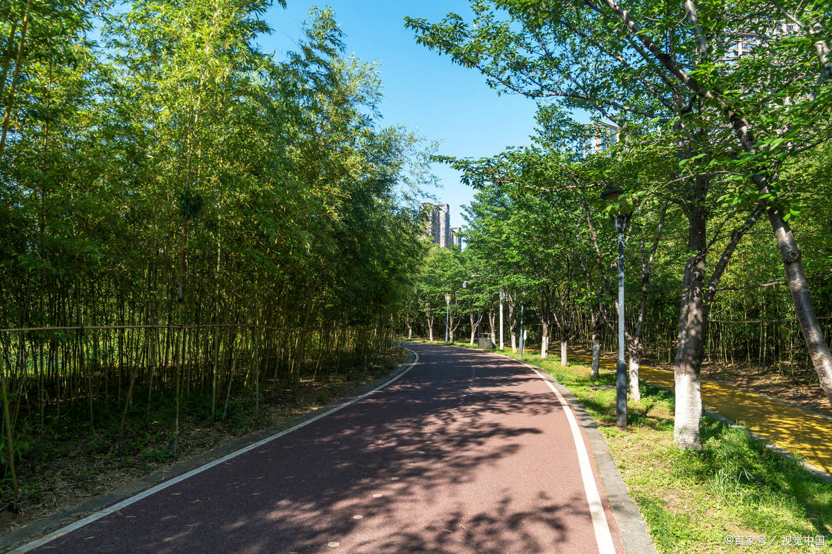 既避免受傷又提升跑步效益 80%的跑者搞錯了!